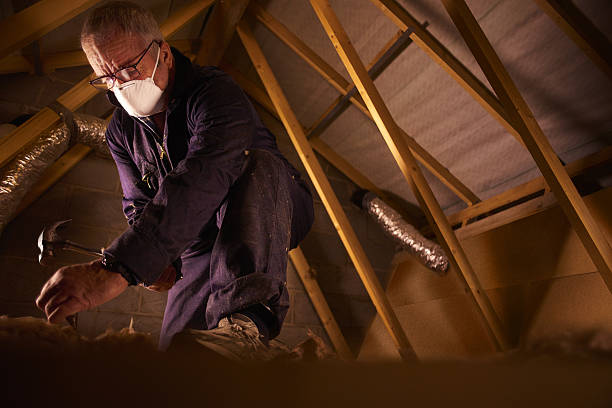 Best Insulation Maintenance and Repair in East Ridge, TN